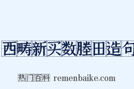 西畴新买数塍田造句是什么意思的图片